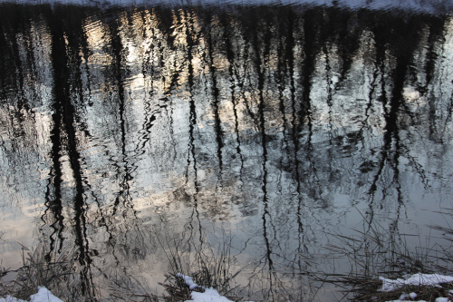 Photographie Nature 2