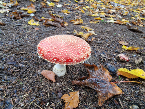 Photographie Nature 1